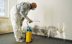 Mold Remediation for Rental Properties