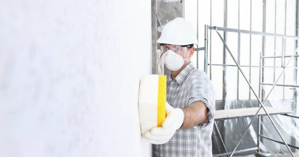 Why You Should Choose Our Mold Remediation Services in Brier, WA