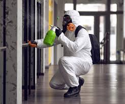 Mold Odor Removal Services in Brier, WA